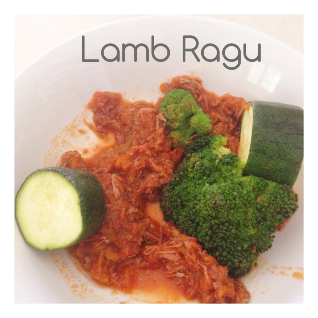 Lamb Ragu Thermomix Recipe