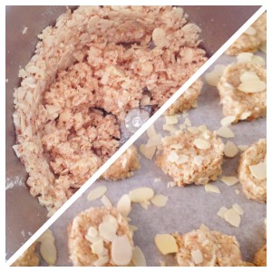 Gluten Free Anzac Biscuits Thermomix