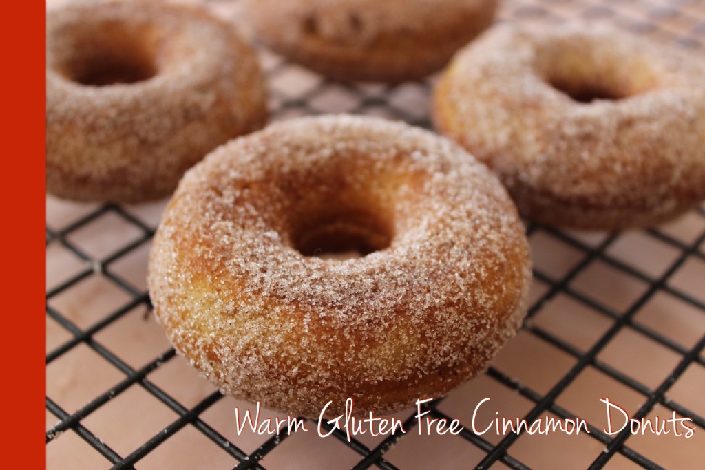 Thermomix Donuts Gluten Free