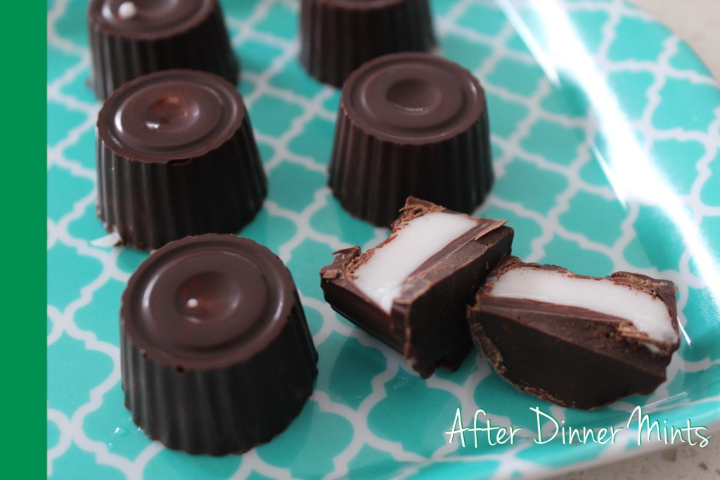 After Dinner Mints Thermomix
