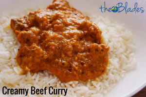 Thermomix Beef Curry