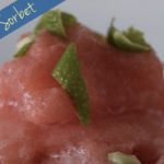 Watermelon-Sorbet-Thermomix-Recipe
