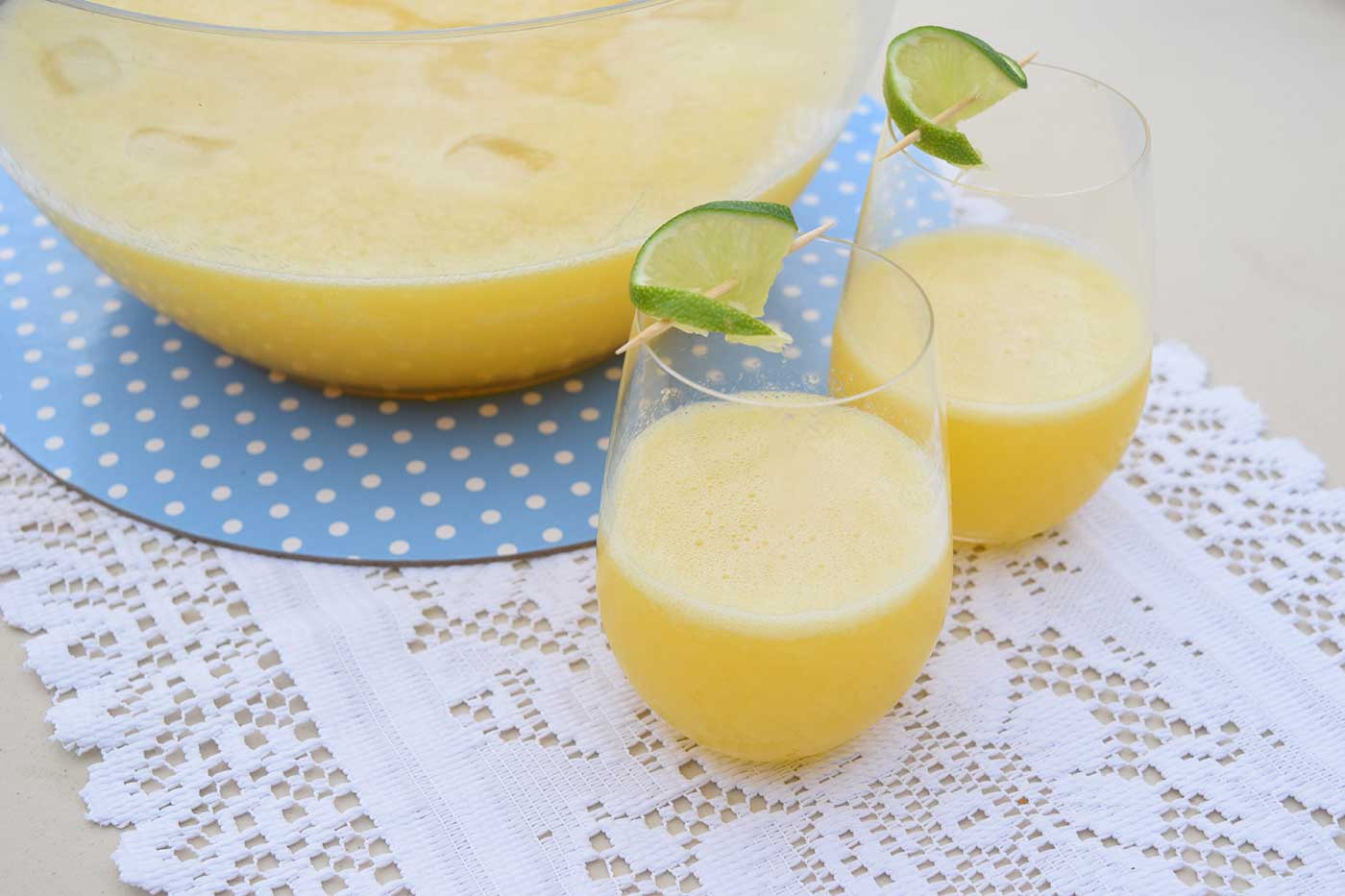 Frosty-Fruit-Punch-Thermomix-Recipe